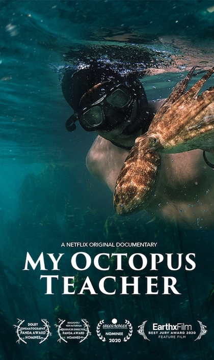 My Octopus Teacher (2020) Pippa Ehrlich, James Reed